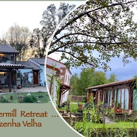 The Old Watermill Retreat - O Retiro Da Azenha Velha Lägenhet Vila Nova de Poiares Exteriör bild